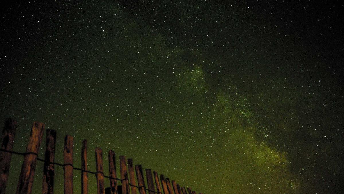Accessori del guardaroba capsula maschile: orologio, cintura, borsa in cuoio