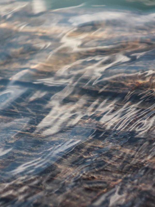 Blazer Cotone Tinto Capo - dettaglio