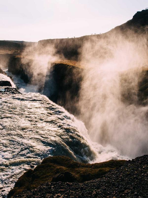 Cappotto Chester Field - fronte
